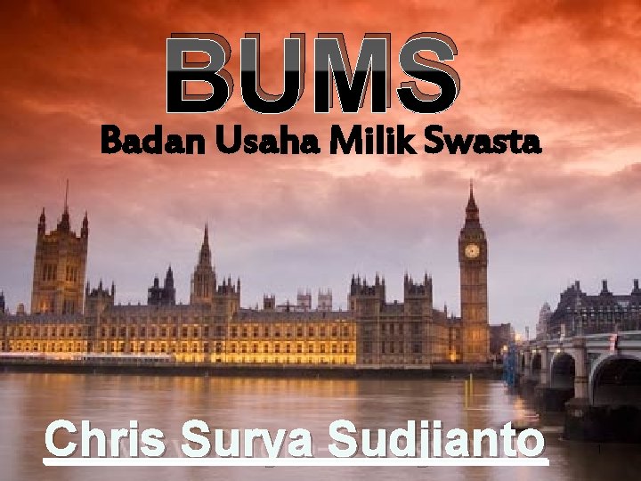 BUMS Badan Usaha Milik Swasta Chris Surya Sudjianto 1 