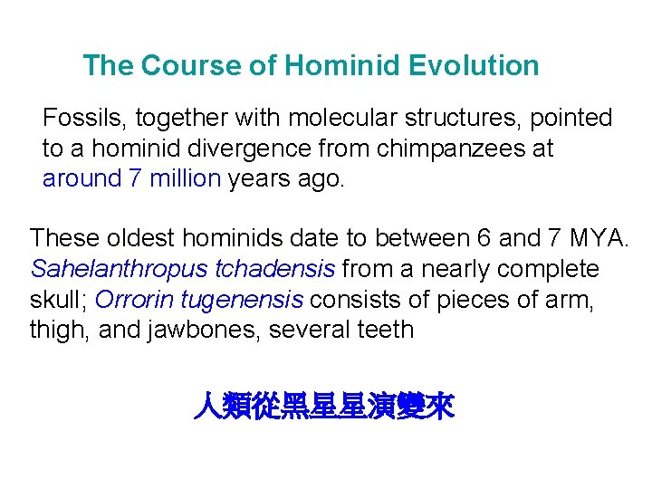 The Course of Hominid Evolution Fossils, together with molecular structures, pointed to a hominid