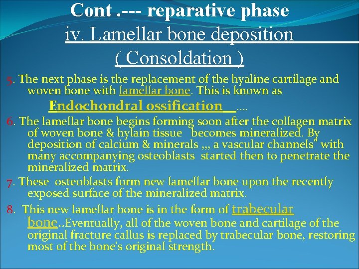Cont. --- reparative phase iv. Lamellar bone deposition ( Consoldation ) 5. The next Cont. --- reparative phase iv. Lamellar bone deposition ( Consoldation ) 5. The next