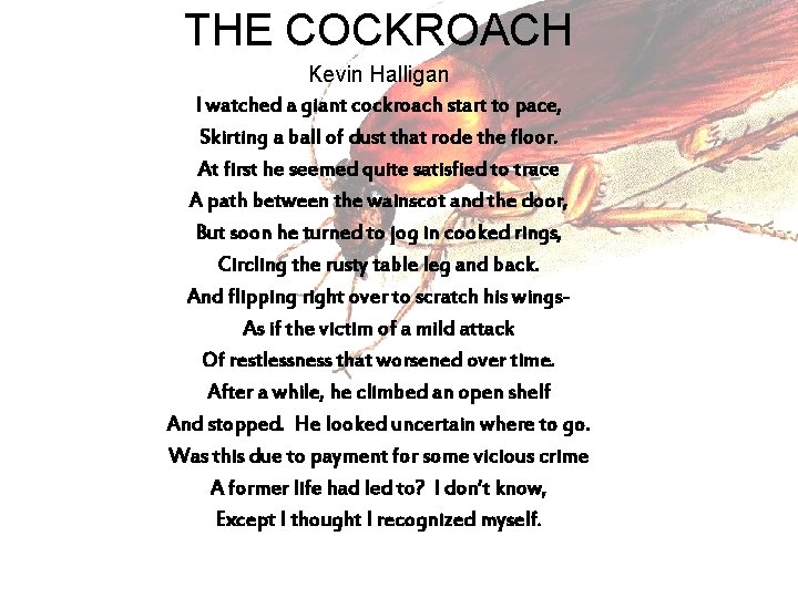 THE COCKROACH Kevin Halligan I watched a giant cockroach start to pace, Skirting a