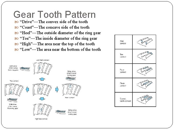 Gear Tooth Pattern “Drive”—The convex side of the tooth “Coast”—The concave side of the