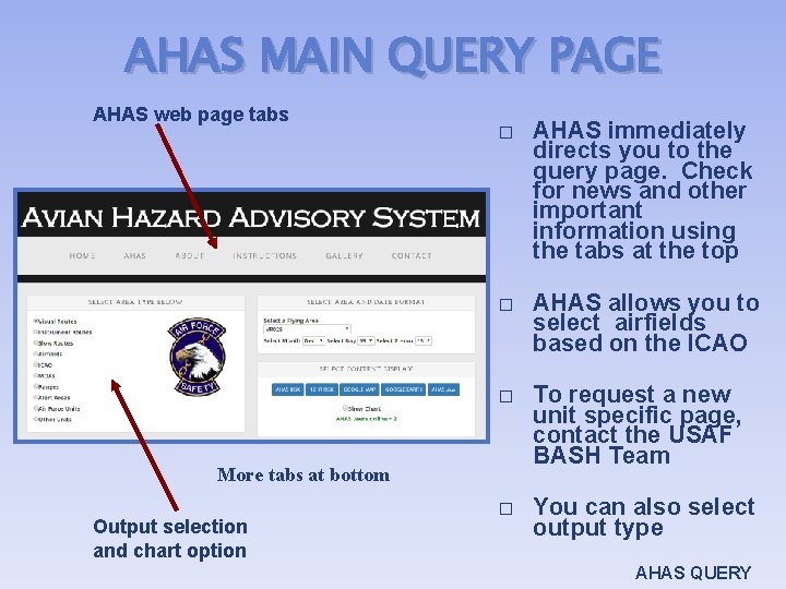 AHAS MAIN QUERY PAGE AHAS web page tabs � AHAS immediately directs you to