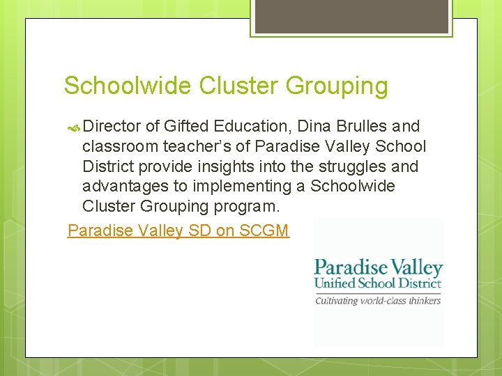 Schoolwide Cluster Grouping Director of Gifted Education, Dina Brulles and classroom teacher’s of Paradise
