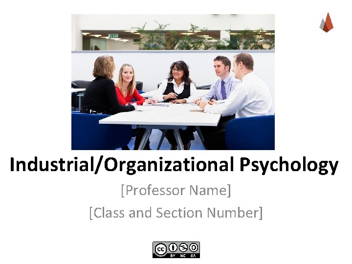 Industrial/Organizational Psychology [Professor Name] [Class and Section Number] 