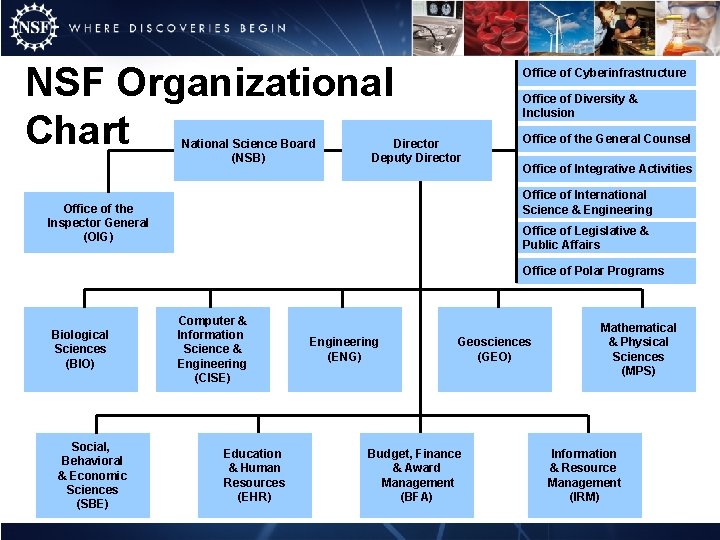 NSF Organizational Chart National Science Board (NSB) Office of Cyberinfrastructure Office of Diversity &