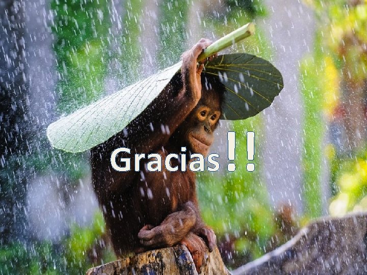 Gracias!! 