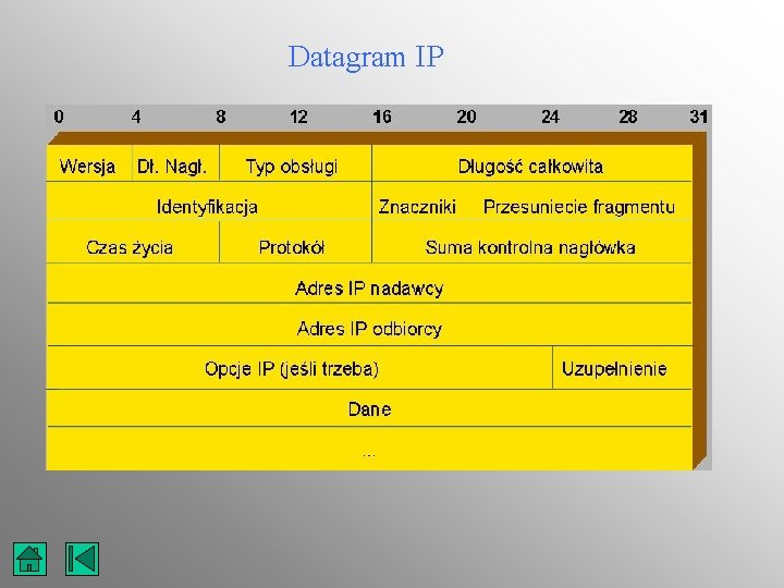 Datagram IP 