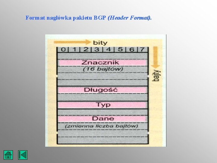 Format nagłówka pakietu BGP (Header Format). 