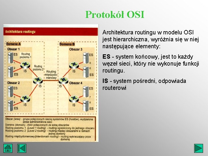 Protokół OSI Architektura routingu w modelu OSI jest hierarchiczna, wyróżnia się w niej następujące