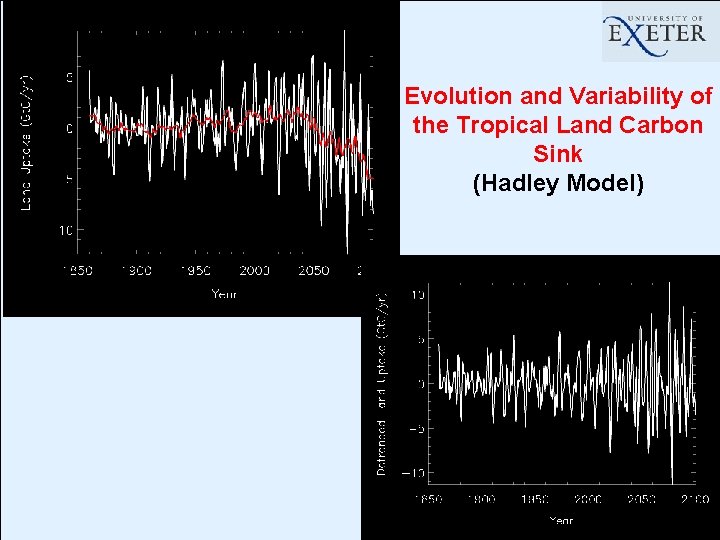 Evolution and Variability of the Tropical Land Carbon Sink (Hadley Model) 