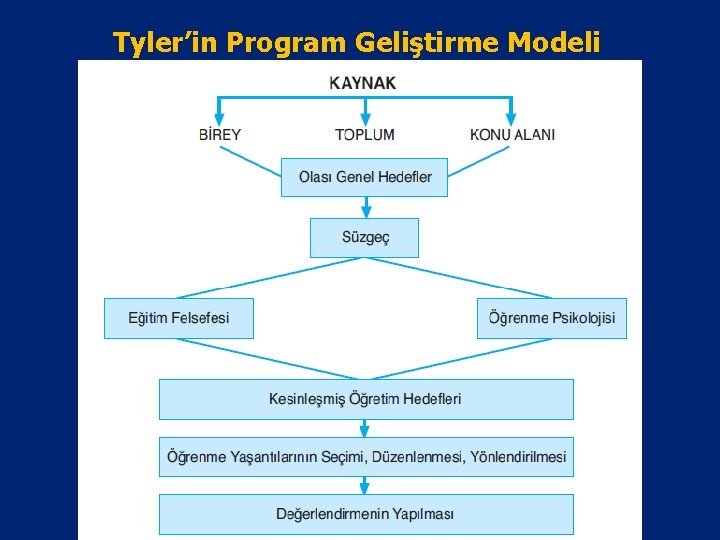 Tyler’in Program Geliştirme Modeli 