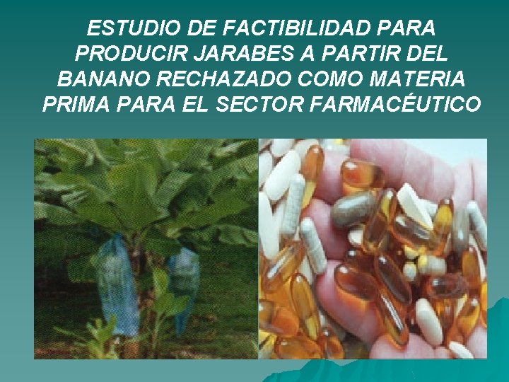 ESTUDIO DE FACTIBILIDAD PARA PRODUCIR JARABES A PARTIR DEL BANANO RECHAZADO COMO MATERIA PRIMA