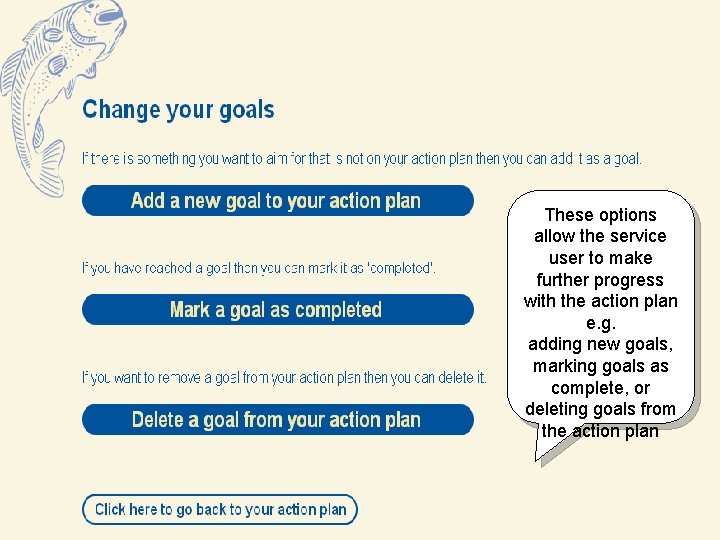 These options allow the service user to make further progress with the action plan