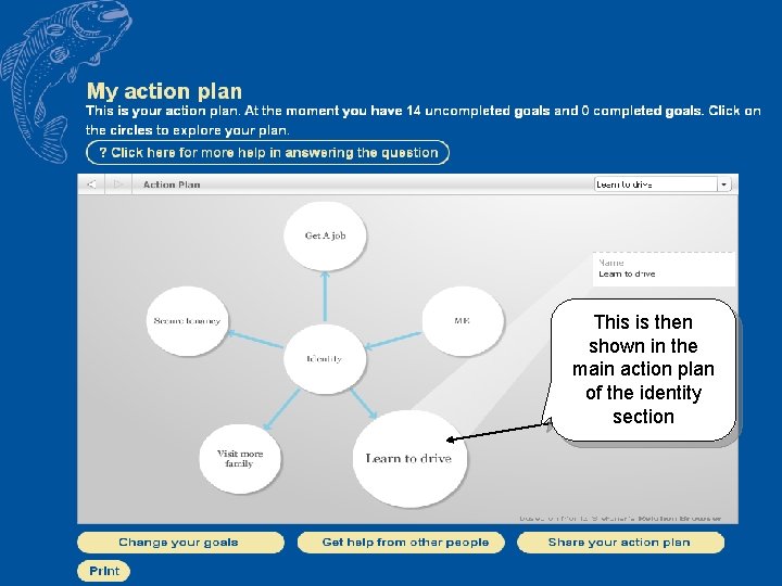 This is then shown in the main action plan of the identity section 