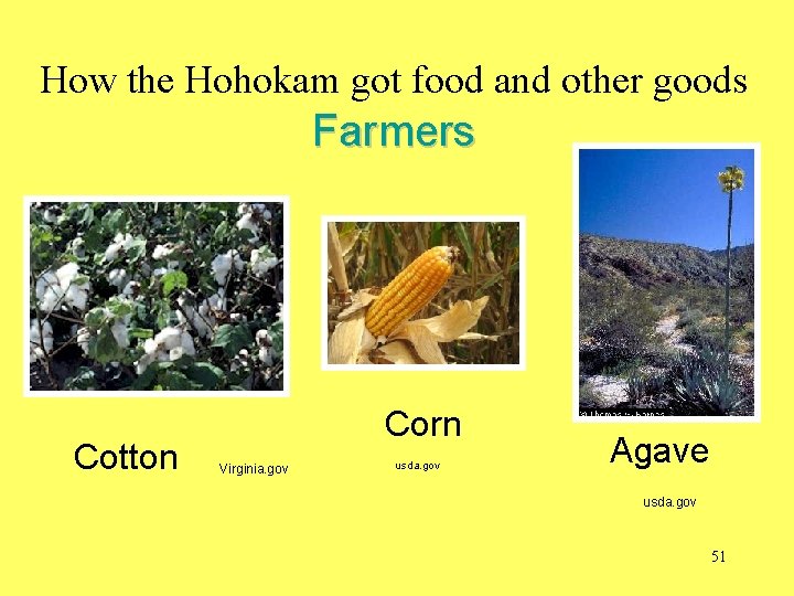 How the Hohokam got food and other goods Farmers Cotton Corn Virginia. gov usda.