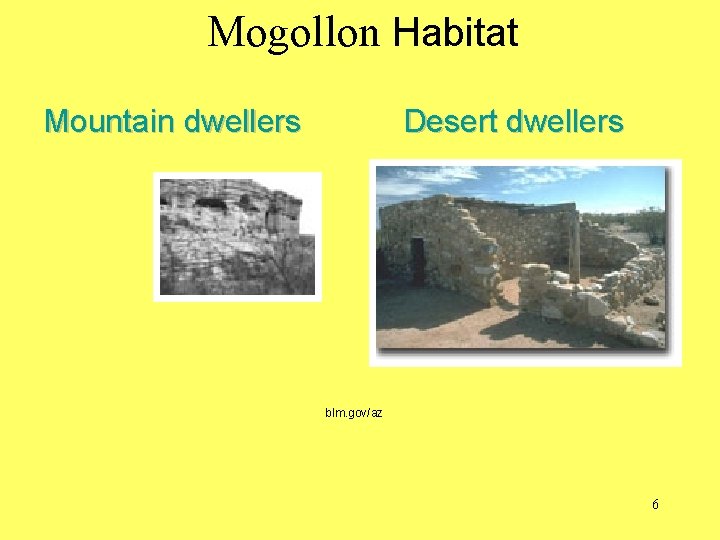 Mogollon Habitat Mountain dwellers Desert dwellers blm. gov/az 6 