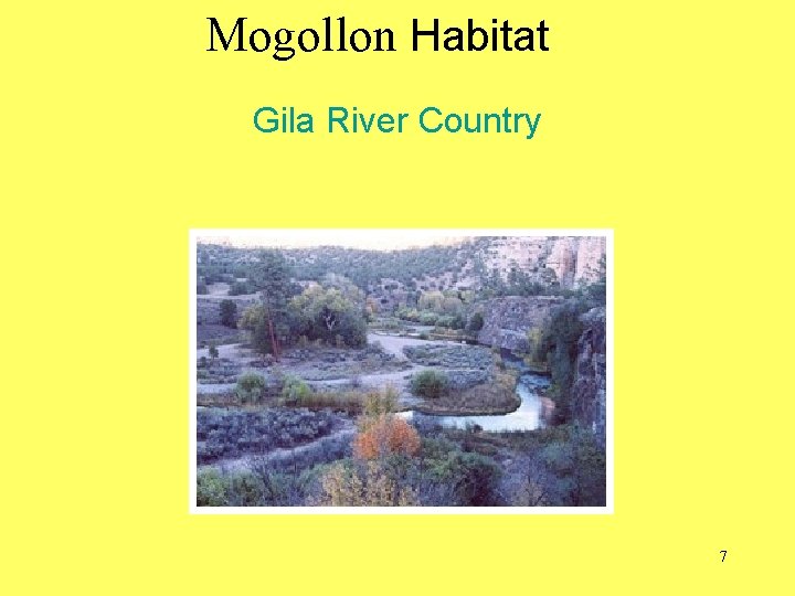 Mogollon Habitat Gila River Country blm. gov/az 7 