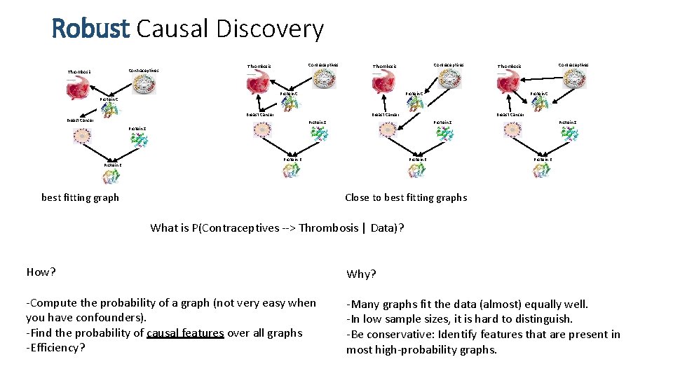 Robust Causal Discovery Contraceptives Thrombosis Breast Cancer Protein Z Protein E Protein C Breast