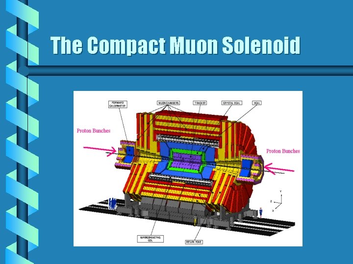 The Compact Muon Solenoid 
