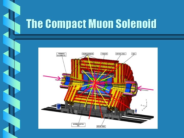 The Compact Muon Solenoid 