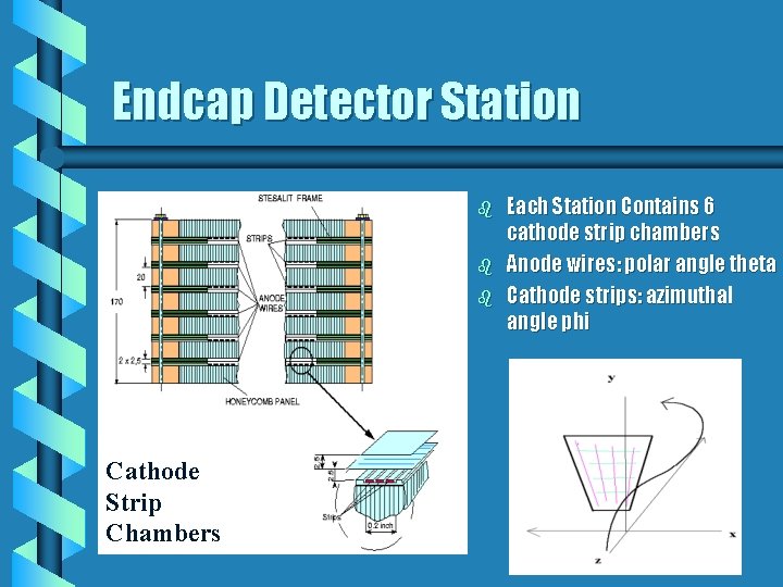 Endcap Detector Station b b b Cathode Strip Chambers Each Station Contains 6 cathode