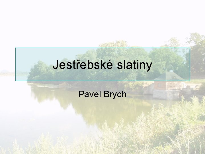 Jestřebské slatiny Pavel Brych 