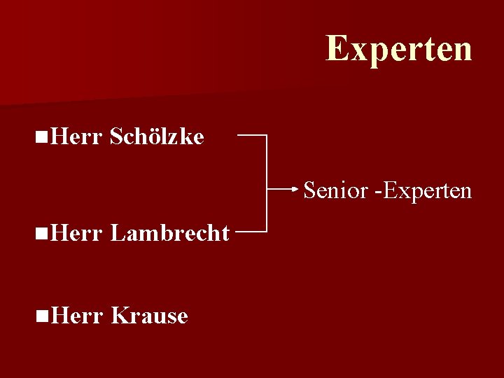 Experten n. Herr Schölzke Senior -Experten n. Herr Lambrecht n. Herr Krause 