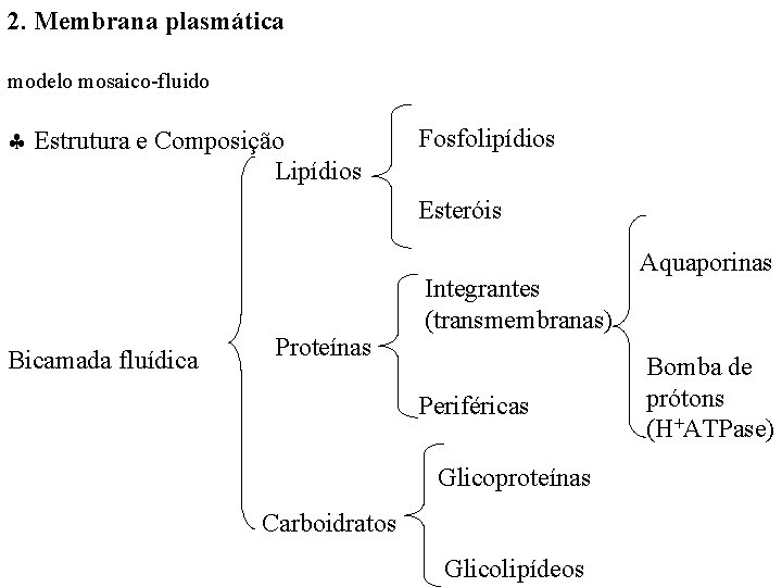 2. Membrana plasmática modelo mosaico-fluido Estrutura e Composição Lipídios Fosfolipídios Esteróis Bicamada fluídica Proteínas