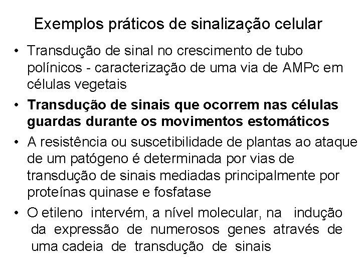 Exemplos práticos de sinalização celular • Transdução de sinal no crescimento de tubo polínicos