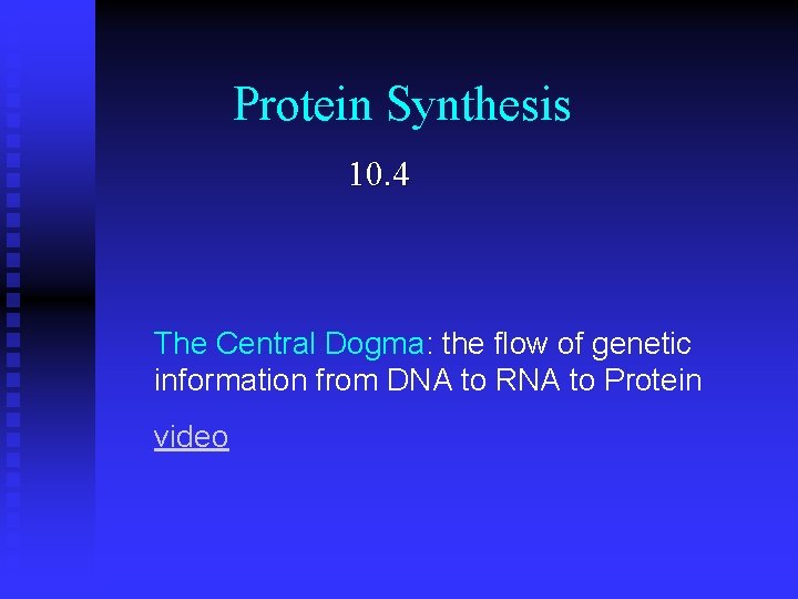 Protein Synthesis 10. 4 The Central Dogma: the flow of genetic information from DNA