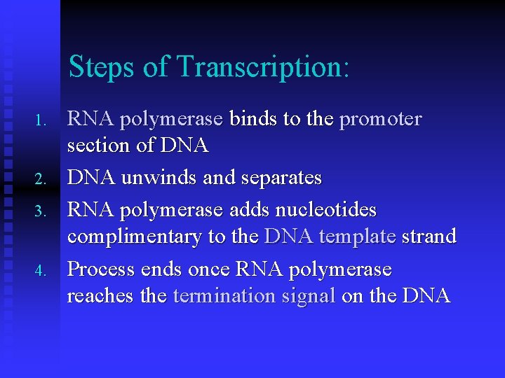 Steps of Transcription: 1. 2. 3. 4. RNA polymerase binds to the promoter section