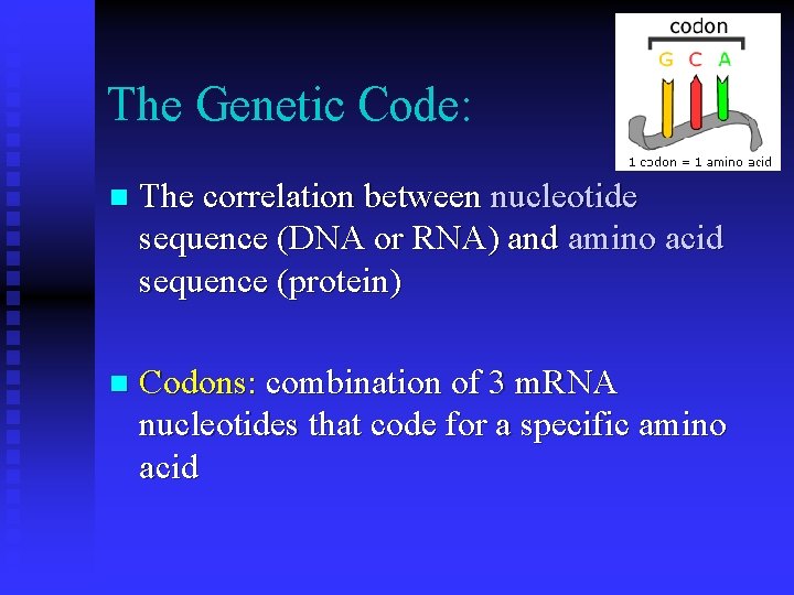 The Genetic Code: n The correlation between nucleotide sequence (DNA or RNA) and amino