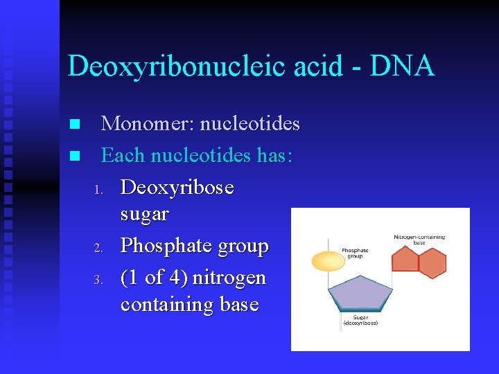 Deoxyribonucleic acid - DNA n n Monomer: nucleotides Each nucleotides has: 1. Deoxyribose sugar