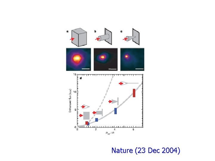 Nature (23 Dec 2004) 