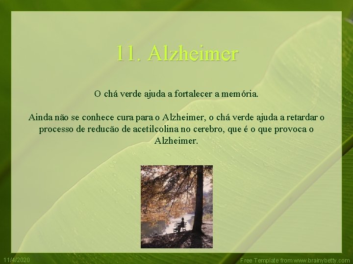 11. Alzheimer O chá verde ajuda a fortalecer a memória. Ainda não se conhece