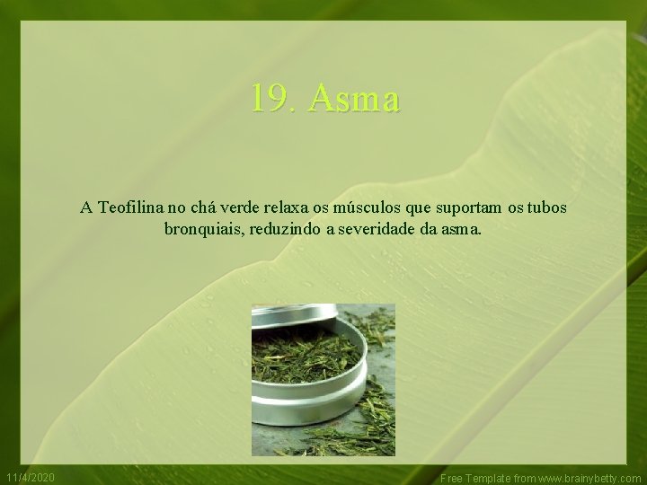 19. Asma A Teofilina no chá verde relaxa os músculos que suportam os tubos