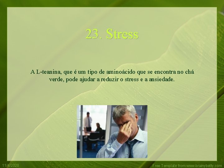 23. Stress A L-teanina, que é um tipo de aminoácido que se encontra no