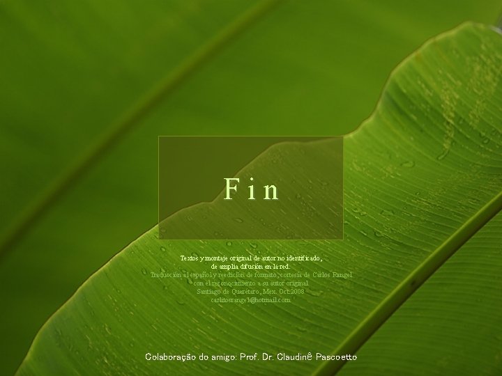 Fin Textos y montaje original de autor no identificado, de amplia difusión en la