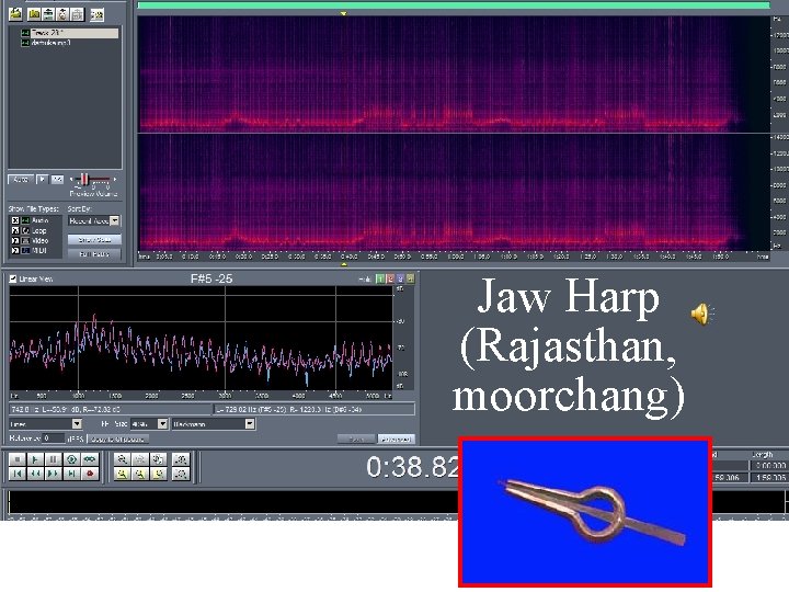 Jaw Harp (Rajasthan, moorchang) 