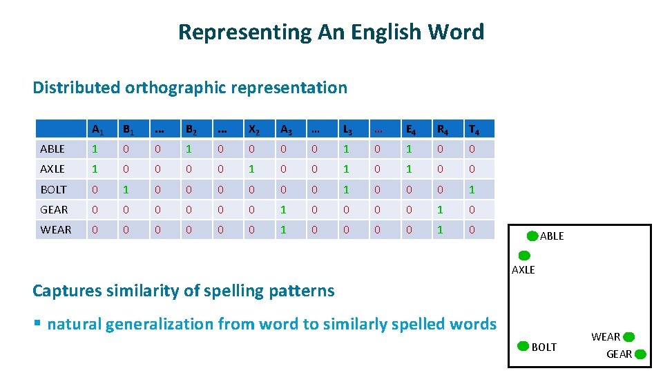 Representing An English Word ü Distributed orthographic representation A 1 B 1 . .