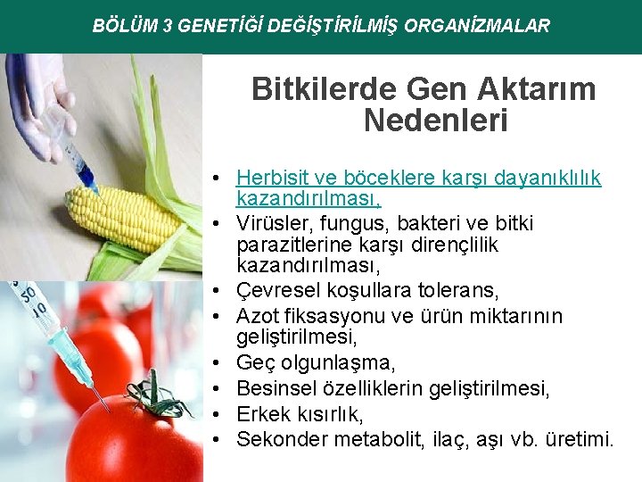 BÖLÜM 3 GENETİĞİ DEĞİŞTİRİLMİŞ ORGANİZMALAR Bitkilerde Gen Aktarım Nedenleri • Herbisit ve böceklere karşı