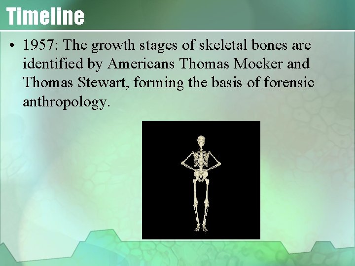 Timeline • 1957: The growth stages of skeletal bones are identified by Americans Thomas