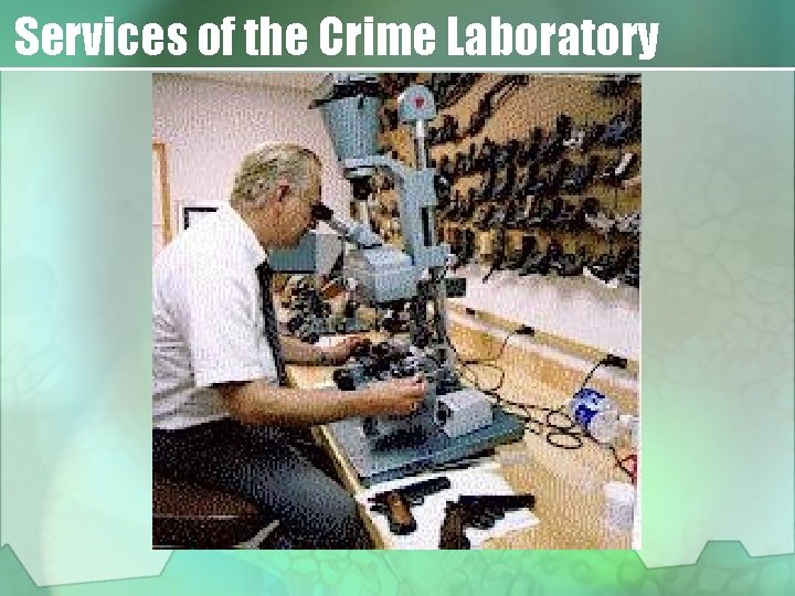 Services of the Crime Laboratory 