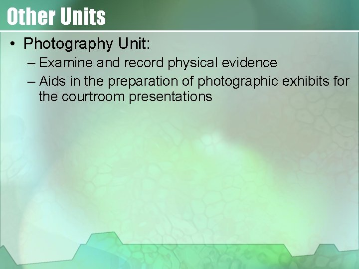 Other Units • Photography Unit: – Examine and record physical evidence – Aids in