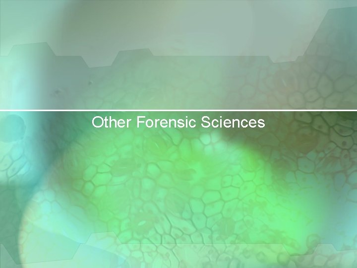 Other Forensic Sciences 