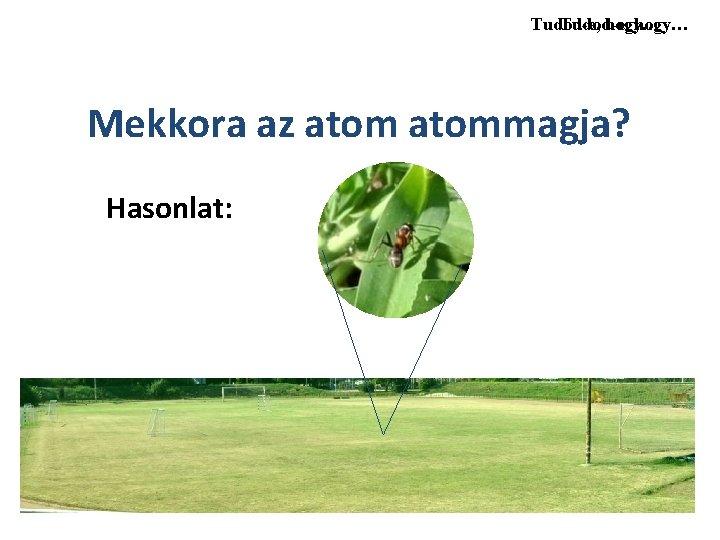 Tudod-e, hogy… Mekkora az atommagja? Hasonlat: 