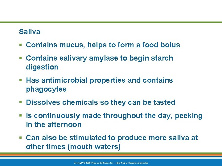 Saliva § Contains mucus, helps to form a food bolus § Contains salivary amylase