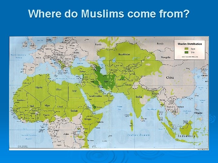 Where do Muslims come from? 