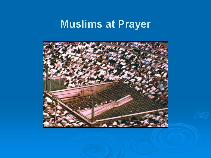 Muslims at Prayer 
