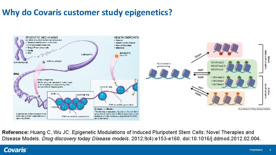 Why do Covaris customer study epigenetics? Reference: Huang C, Wu JC. Epigenetic Modulations of